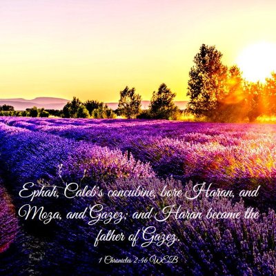 Picture 03 - 1 Chronicles 2:46 WEB - Ephah, Caleb's concubine, bore Haran, and Moza, - Bible Verse Picture