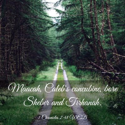 Picture 03 - 1 Chronicles 2:48 WEB - Maacah, Caleb's concubine, bore Sheber and - Bible Verse Picture
