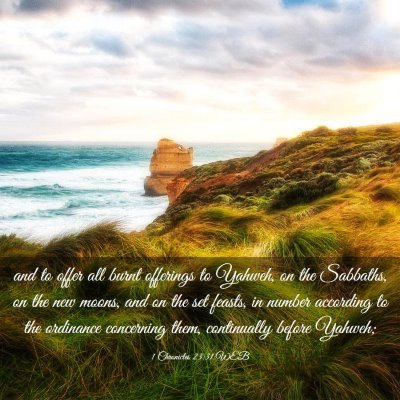 Picture 03 - 1 Chronicles 23:31 WEB - and to offer all burnt offerings to Yahweh, on - Bible Verse Picture