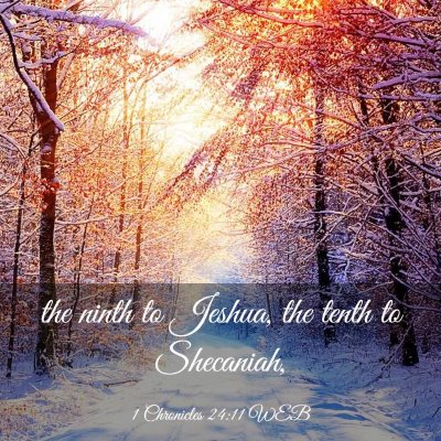Picture 03 - 1 Chronicles 24:11 WEB - the ninth to Jeshua, the tenth to - Bible Verse Picture