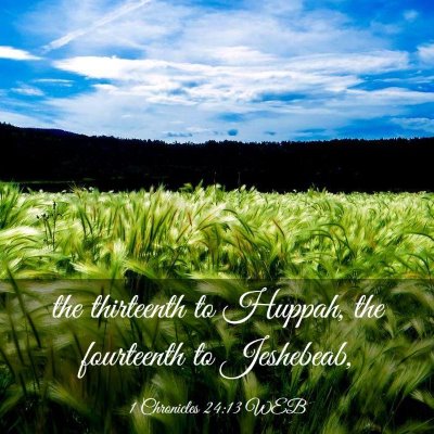 Picture 03 - 1 Chronicles 24:13 WEB - the thirteenth to Huppah, the fourteenth to - Bible Verse Picture