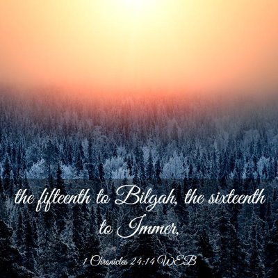 Picture 03 - 1 Chronicles 24:14 WEB - the fifteenth to Bilgah, the sixteenth to - Bible Verse Picture
