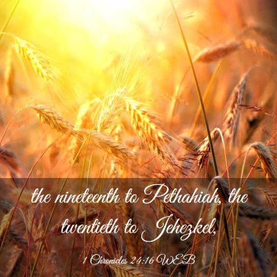 Picture 03 - 1 Chronicles 24:16 WEB - the nineteenth to Pethahiah, the twentieth to - Bible Verse Picture