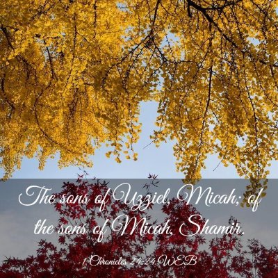 Picture 03 - 1 Chronicles 24:24 WEB - The sons of Uzziel, Micah; of the sons of Micah, - Bible Verse Picture