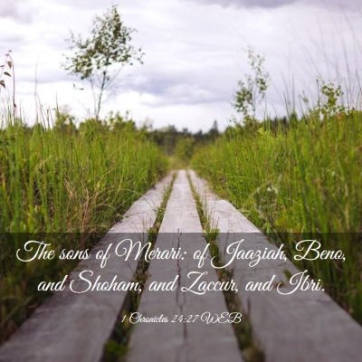 Picture 03 - 1 Chronicles 24:27 WEB - The sons of Merari: of Jaaziah, Beno, and Shoham, - Bible Verse Picture