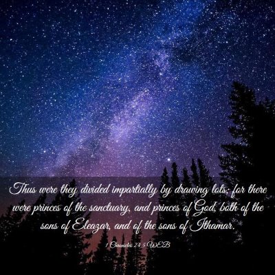 Picture 03 - 1 Chronicles 24:5 WEB - Thus were they divided impartially by drawing - Bible Verse Picture
