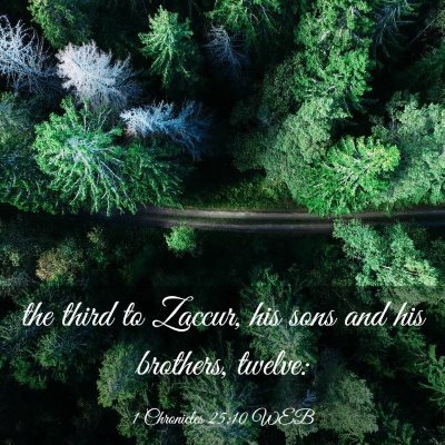 Picture 03 - 1 Chronicles 25:10 WEB - the third to Zaccur, his sons and his brothers, - Bible Verse Picture
