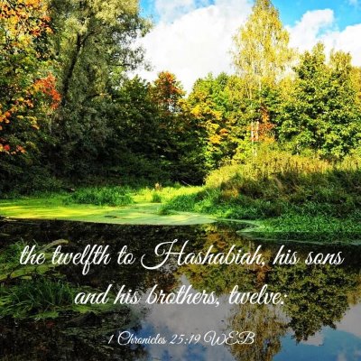 Picture 03 - 1 Chronicles 25:19 WEB - the twelfth to Hashabiah, his sons and his - Bible Verse Picture