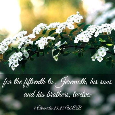 Picture 03 - 1 Chronicles 25:22 WEB - for the fifteenth to Jeremoth, his sons and his - Bible Verse Picture