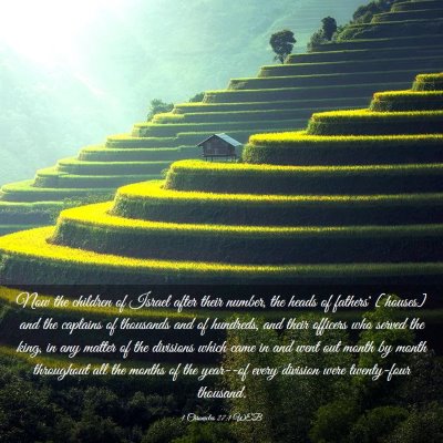 Picture 03 - 1 Chronicles 27:1 WEB - Now the children of Israel after their number, - Bible Verse Picture