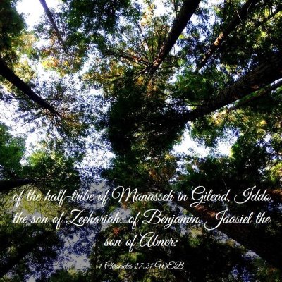 Picture 03 - 1 Chronicles 27:21 WEB - of the half-tribe of Manasseh in Gilead, Iddo the - Bible Verse Picture