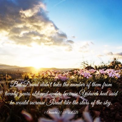 Picture 03 - 1 Chronicles 27:23 WEB - But David didn't take the number of them from - Bible Verse Picture