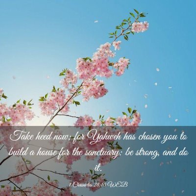 Picture 03 - 1 Chronicles 28:10 WEB - Take heed now; for Yahweh has chosen you to build - Bible Verse Picture