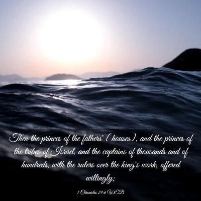 Picture 03 - 1 Chronicles 29:6 WEB - Then the princes of the fathers' [houses], and - Bible Verse Picture