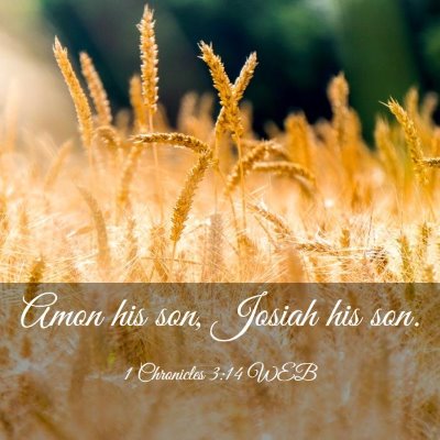 Picture 03 - 1 Chronicles 3:14 WEB - Amon his son, Josiah his - Bible Verse Picture