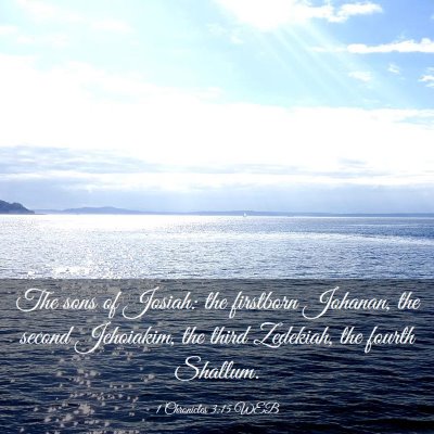 Picture 03 - 1 Chronicles 3:15 WEB - The sons of Josiah: the firstborn Johanan, the - Bible Verse Picture