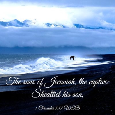 Picture 03 - 1 Chronicles 3:17 WEB - The sons of Jeconiah, the captive: Shealtiel his - Bible Verse Picture
