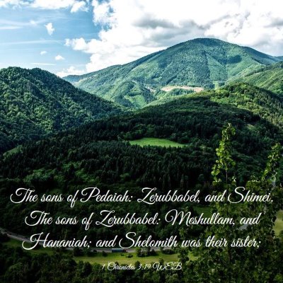 Picture 03 - 1 Chronicles 3:19 WEB - The sons of Pedaiah: Zerubbabel, and Shimei. The - Bible Verse Picture