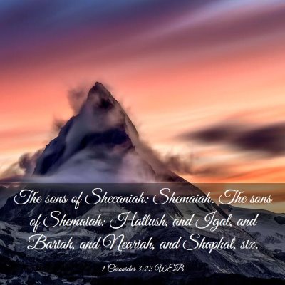 Picture 03 - 1 Chronicles 3:22 WEB - The sons of Shecaniah: Shemaiah. The sons of - Bible Verse Picture