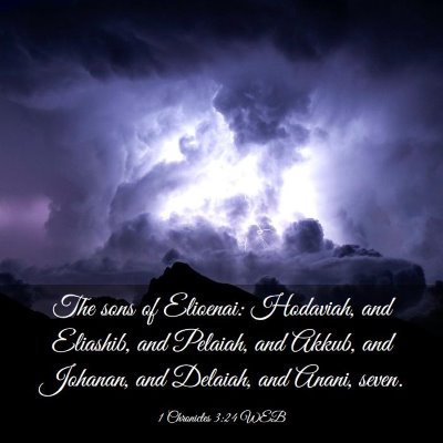 Picture 03 - 1 Chronicles 3:24 WEB - The sons of Elioenai: Hodaviah, and Eliashib, and - Bible Verse Picture