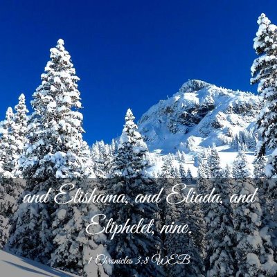 Picture 03 - 1 Chronicles 3:8 WEB - and Elishama, and Eliada, and Eliphelet, - Bible Verse Picture