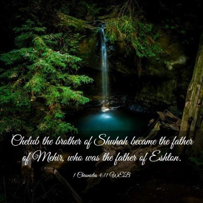 Picture 03 - 1 Chronicles 4:11 WEB - Chelub the brother of Shuhah became the father of - Bible Verse Picture