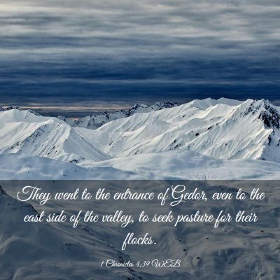 Picture 03 - 1 Chronicles 4:39 WEB - They went to the entrance of Gedor, even to the - Bible Verse Picture