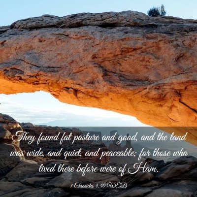 Picture 03 - 1 Chronicles 4:40 WEB - They found fat pasture and good, and the land was - Bible Verse Picture