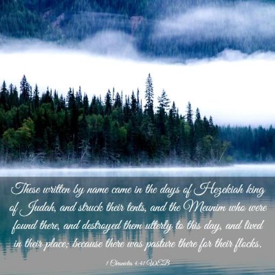 Picture 03 - 1 Chronicles 4:41 WEB - These written by name came in the days of - Bible Verse Picture