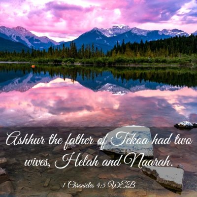 Picture 03 - 1 Chronicles 4:5 WEB - Ashhur the father of Tekoa had two wives, Helah - Bible Verse Picture
