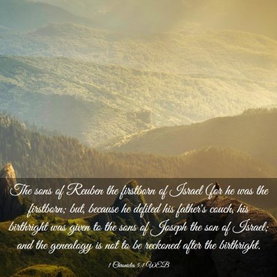 Picture 03 - 1 Chronicles 5:1 WEB - The sons of Reuben the firstborn of Israel (for - Bible Verse Picture