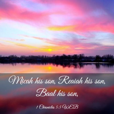 Picture 03 - 1 Chronicles 5:5 WEB - Micah his son, Reaiah his son, Baal his - Bible Verse Picture