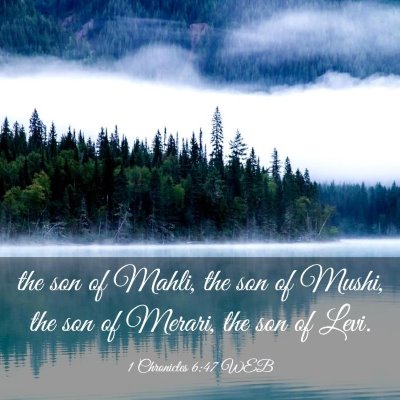 Picture 03 - 1 Chronicles 6:47 WEB - the son of Mahli, the son of Mushi, the son of - Bible Verse Picture