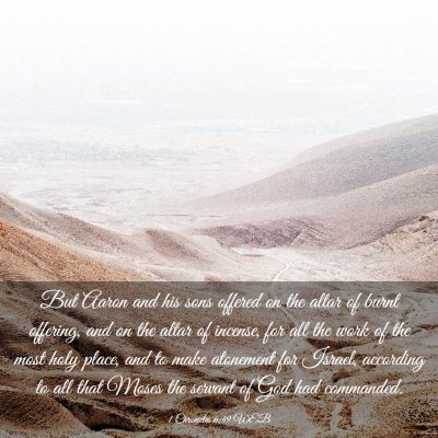 Picture 03 - 1 Chronicles 6:49 WEB - But Aaron and his sons offered on the altar of - Bible Verse Picture