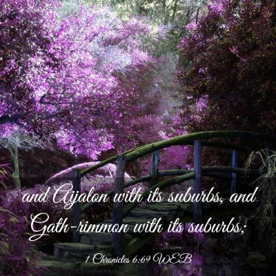 Picture 03 - 1 Chronicles 6:69 WEB - and Aijalon with its suburbs, and Gath-rimmon - Bible Verse Picture