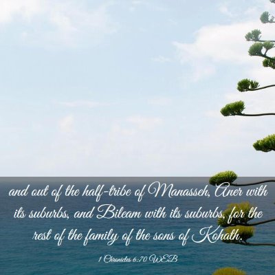 Picture 03 - 1 Chronicles 6:70 WEB - and out of the half-tribe of Manasseh, Aner with - Bible Verse Picture