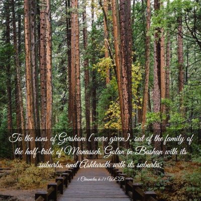 Picture 03 - 1 Chronicles 6:71 WEB - To the sons of Gershom [were given], out of the - Bible Verse Picture
