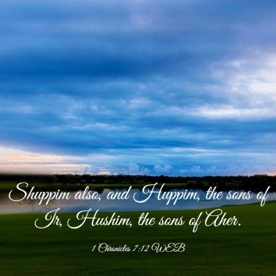 Picture 03 - 1 Chronicles 7:12 WEB - Shuppim also, and Huppim, the sons of Ir, Hushim, - Bible Verse Picture