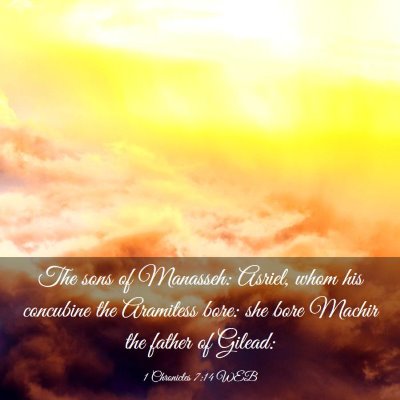 Picture 03 - 1 Chronicles 7:14 WEB - The sons of Manasseh: Asriel, whom his concubine - Bible Verse Picture