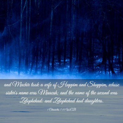 Picture 03 - 1 Chronicles 7:15 WEB - and Machir took a wife of Huppim and Shuppim, - Bible Verse Picture
