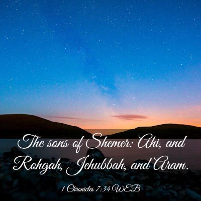 Picture 03 - 1 Chronicles 7:34 WEB - The sons of Shemer: Ahi, and Rohgah, Jehubbah, - Bible Verse Picture