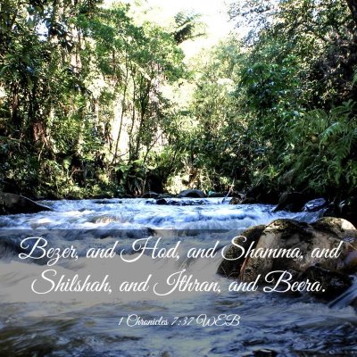 Picture 03 - 1 Chronicles 7:37 WEB - Bezer, and Hod, and Shamma, and Shilshah, and - Bible Verse Picture