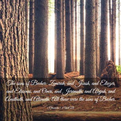Picture 03 - 1 Chronicles 7:8 WEB - The sons of Becher: Zemirah, and Joash, and - Bible Verse Picture