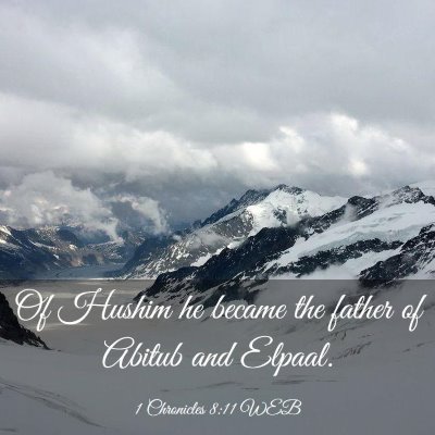 Picture 03 - 1 Chronicles 8:11 WEB - Of Hushim he became the father of Abitub and - Bible Verse Picture