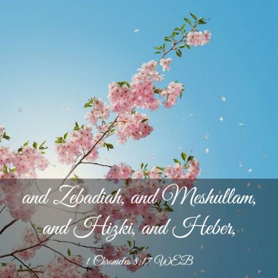 Picture 03 - 1 Chronicles 8:17 WEB - and Zebadiah, and Meshullam, and Hizki, and - Bible Verse Picture