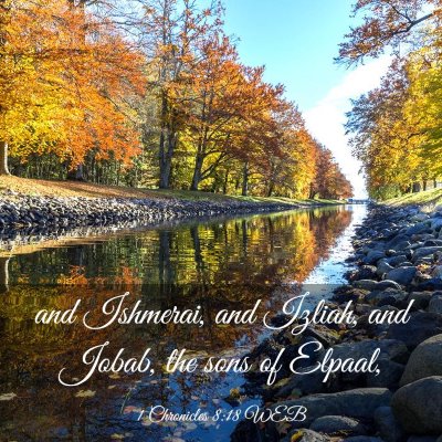 Picture 03 - 1 Chronicles 8:18 WEB - and Ishmerai, and Izliah, and Jobab, the sons of - Bible Verse Picture