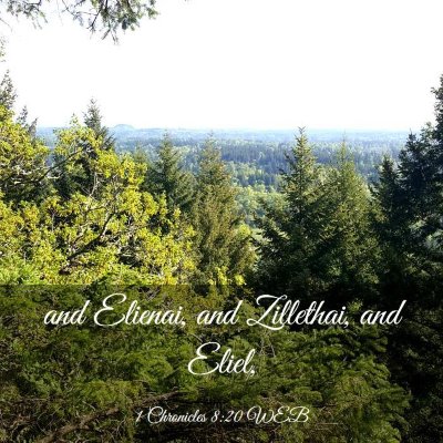 Picture 03 - 1 Chronicles 8:20 WEB - and Elienai, and Zillethai, and - Bible Verse Picture
