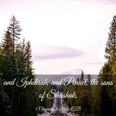 Picture 03 - 1 Chronicles 8:25 WEB - and Iphdeiah, and Penuel, the sons of - Bible Verse Picture