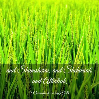 Picture 03 - 1 Chronicles 8:26 WEB - and Shamsherai, and Shehariah, and - Bible Verse Picture