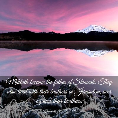 Picture 03 - 1 Chronicles 8:32 WEB - Mikloth became the father of Shimeah. They also - Bible Verse Picture